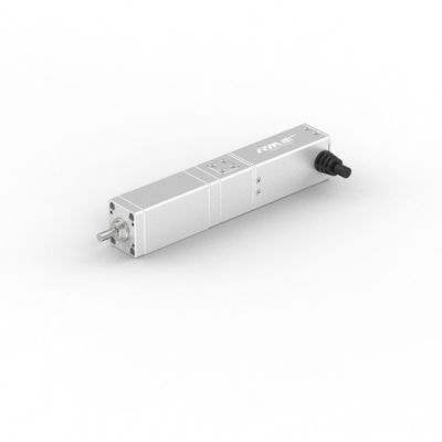 RobustMotion RM-SLA-serie High Precision Straight Electric Linear Actuator met servomotor,50/100mm slag, IP40