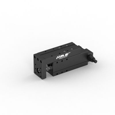 RM-NPLA Micro Platform-type lineaire actuator, servo-elektrische cilinder voor trekken, duwen en drukken