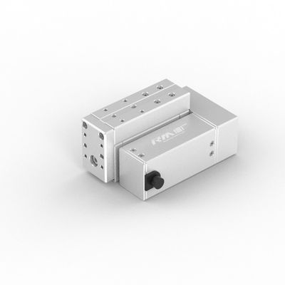 RobustMotion RM-RPLA elektrische cilinder lineaire actuator, adaptief duwen onder grote uitgang
