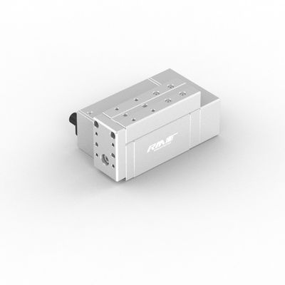 RM-RPLA-industrieel lineaire actuator met snelle reactiesnelheid met optionele slagkracht