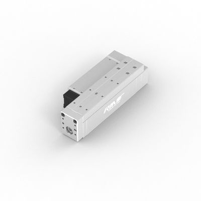 IP40 Compacte industriële geleide elektrische actuatoren, ITG-controller geïntegreerd type RobustMotion RM-RPLA