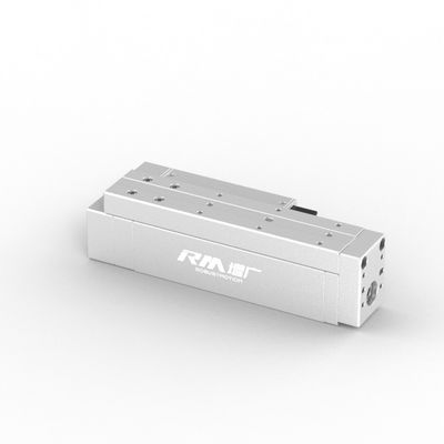 RobustMotion Single Axis Electric Linear Cylinder, lange slag, hoge snelheid en hoge precisie RM-RPLA